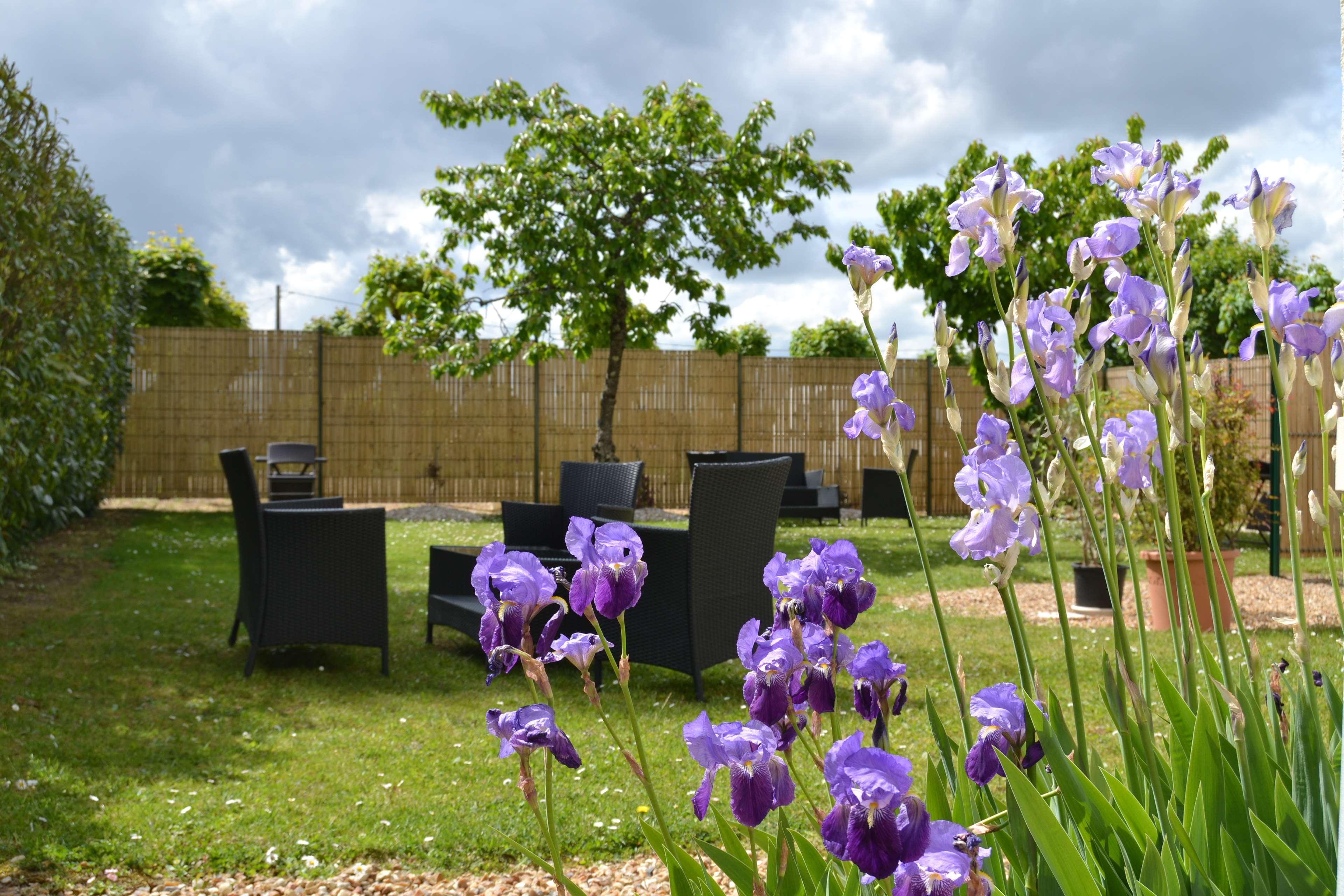 Best Western Le Vinci Loire Valley Amboise Exteriör bild
